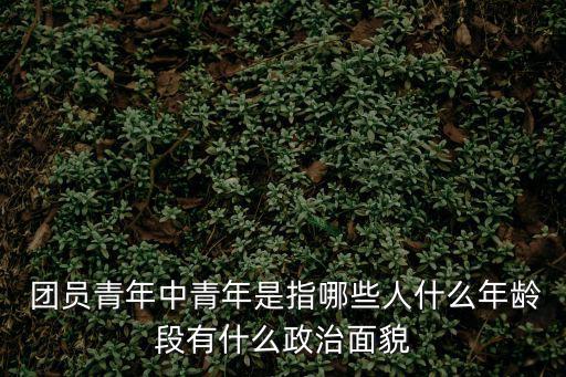團員是什么,中國共青團團員是怎么一回事?