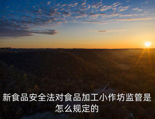食品安全管理辦法，食品安全管理條例