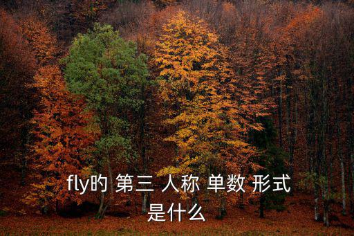  fly旳 第三 人稱 單數 形式是什么