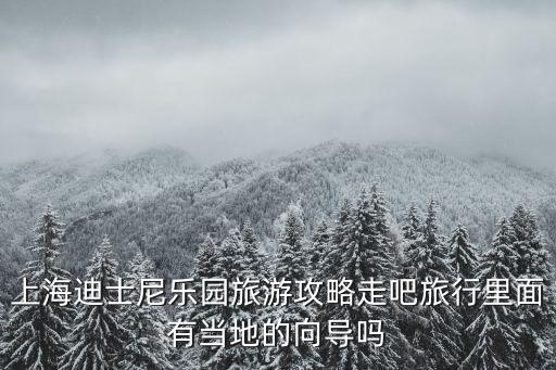 上海迪士尼樂園旅游攻略走吧旅行里面有當地的向導嗎