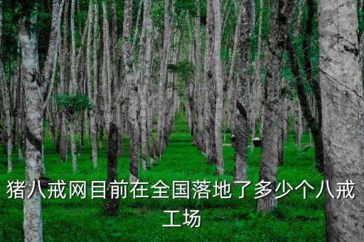 豬八戒網目前在全國落地了多少個八戒工場