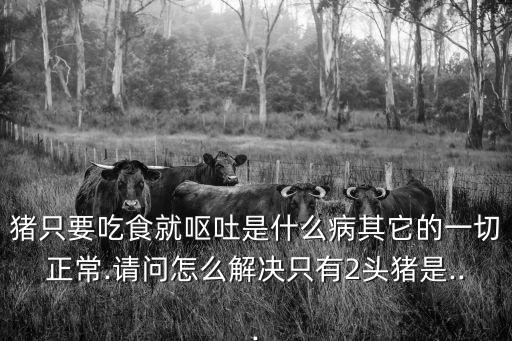 豬只要吃食就嘔吐是什么病其它的一切正常.請問怎么解決只有2頭豬是...