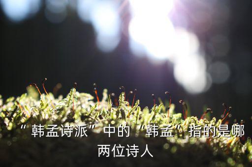 “ 韓孟詩(shī)派”中的“韓孟”指的是哪兩位詩(shī)人