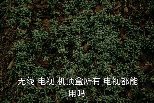  無線 電視 機頂盒所有 電視都能用嗎