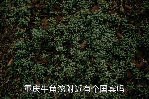 重慶牛角沱附近有個國賓嗎