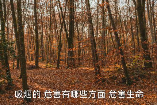 吸煙的十大危害,吸煙有害無益健康和生活