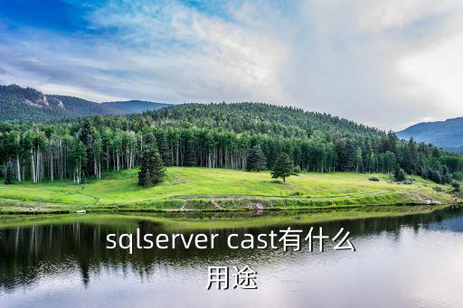 cast,cast系統出現錯誤提示用戶可能無法正常使用