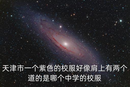天津市一個紫色的校服好像肩上有兩個道的是哪個中學的校服