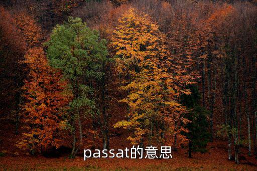 passat的意思