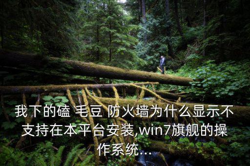 我下的磕 毛豆 防火墻為什么顯示不支持在本平臺安裝,win7旗艦的操作系統...