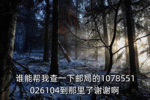 誰能幫我查一下郵局的1078551026104到那里了謝謝啊
