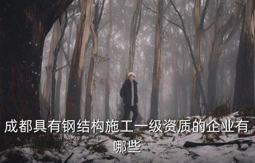 成都具有鋼結(jié)構(gòu)施工一級資質(zhì)的企業(yè)有哪些