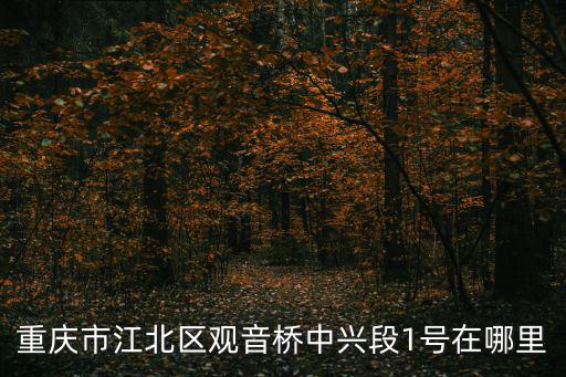 重慶市江北區(qū)觀音橋中興段1號在哪里