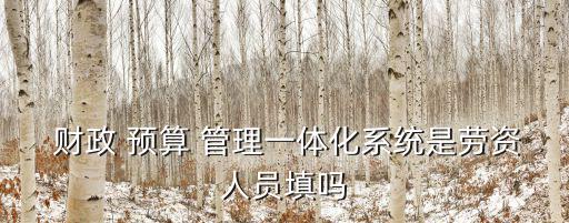  財政 預算 管理一體化系統是勞資人員填嗎