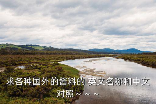求各種國外的醬料的 英文名稱和中文對照～～～