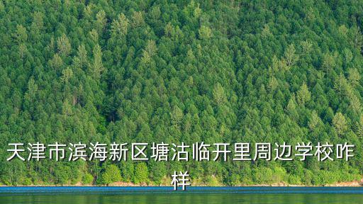 天津市濱海新區塘沽臨開里周邊學校咋樣