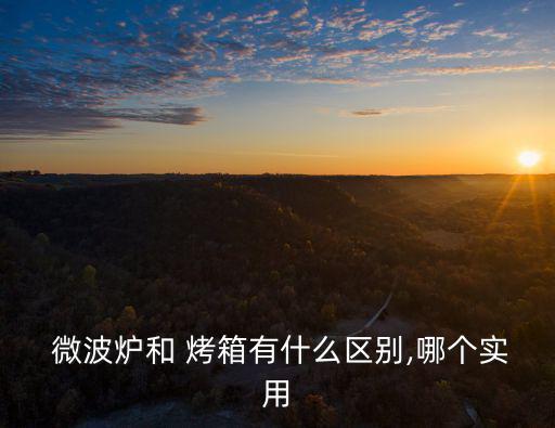  微波爐和 烤箱有什么區別,哪個實用