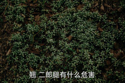 翹 二郎腿有什么危害