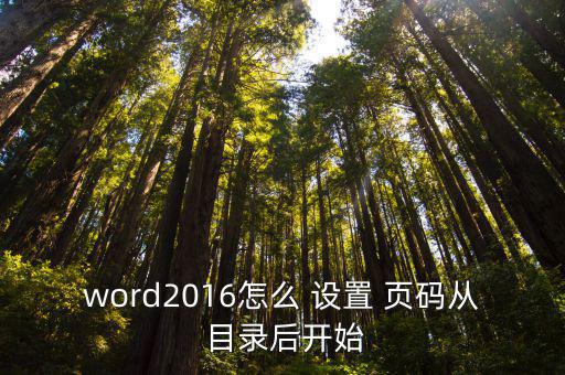 word2016怎么 設置 頁碼從 目錄后開始