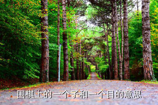 圍棋上的一個子和一個目的意思