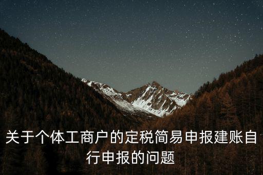 關于個體工商戶的定稅簡易申報建賬自行申報的問題