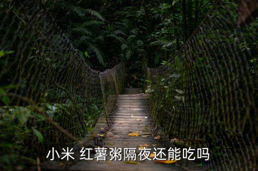 小米 紅薯粥隔夜還能吃嗎