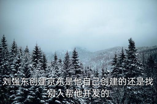 劉強東創建京東是他自己創建的還是找別人幫他開發的
