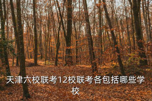 天津六校聯考12校聯考各包括哪些學校