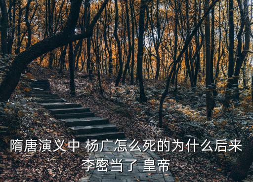 隋唐演義中 楊廣怎么死的為什么后來李密當了 皇帝