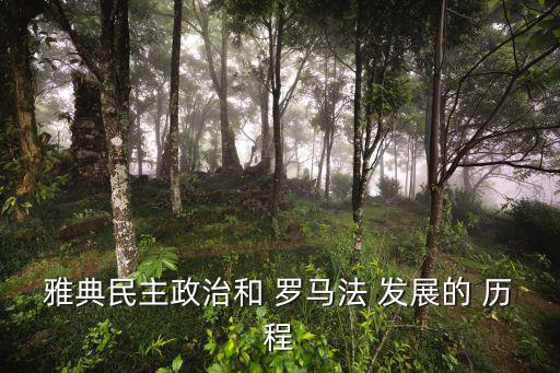 雅典民主政治和 羅馬法 發(fā)展的 歷程