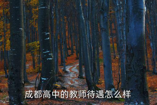 成都高中的教師待遇怎么樣