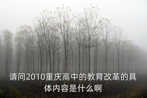 請問2010重慶高中的教育改革的具體內容是什么啊