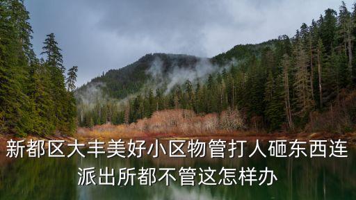 新都區(qū)大豐美好小區(qū)物管打人砸東西連派出所都不管這怎樣辦