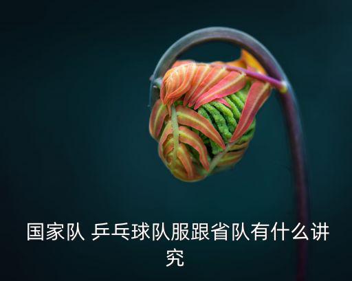  國家隊 乒乓球隊服跟省隊有什么講究
