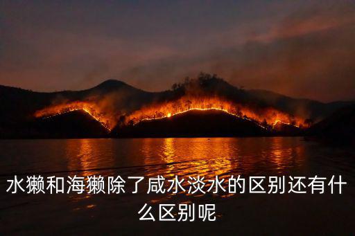 水獺和海獺除了咸水淡水的區(qū)別還有什么區(qū)別呢