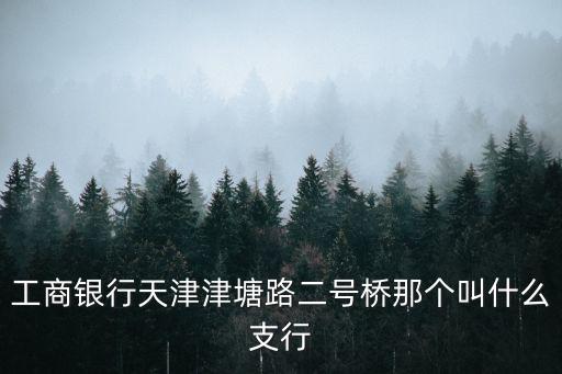 工商銀行天津津塘路二號橋那個叫什么支行