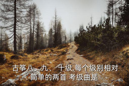 古箏十級(jí)考級(jí)曲目,古箏曲《行者》考級(jí)曲目公布難度較高
