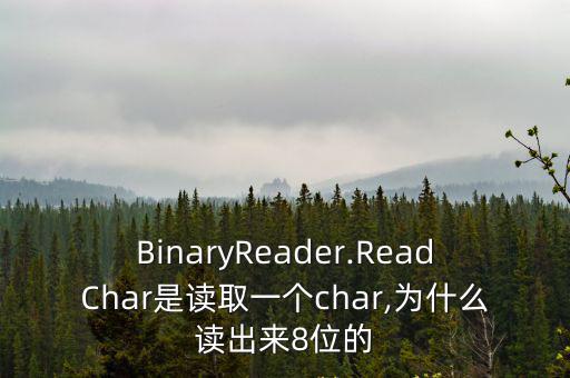 BinaryReader.ReadChar是讀取一個char,為什么讀出來8位的