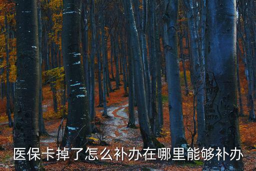 醫(yī)保卡掉了怎么補(bǔ)辦在哪里能夠補(bǔ)辦