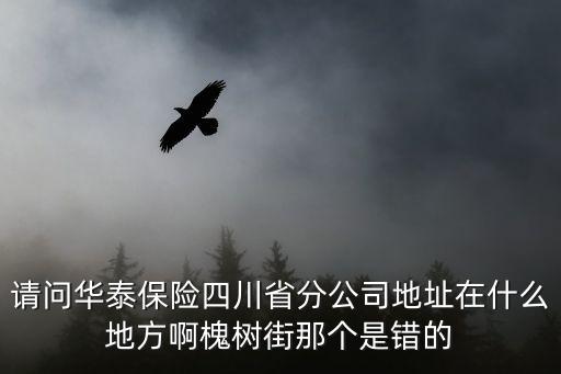 請問華泰保險(xiǎn)四川省分公司地址在什么地方啊槐樹街那個是錯的