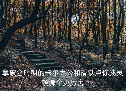 拿破侖時期的卡爾大公和滑鐵盧你威靈頓哪個更厲害