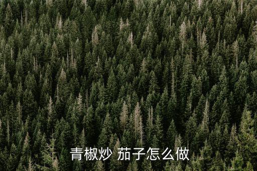 青椒炒茄子,食材:茄子2件青椒2件醬油蠔油糖蒜瓣