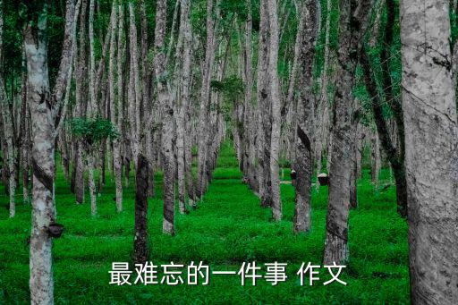 作文最難忘的一件事，難忘的一件事作文四百字