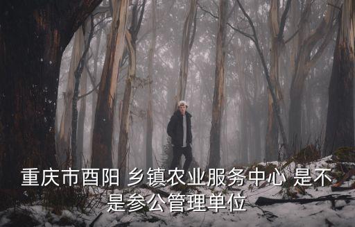 重慶市酉陽(yáng) 鄉(xiāng)鎮(zhèn)農(nóng)業(yè)服務(wù)中心 是不是參公管理單位