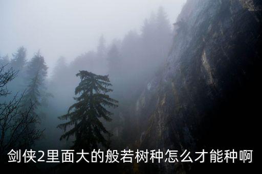 如何種樹，怎么種植樹木