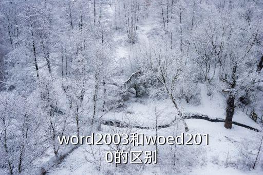  word2003和woed2010的區別