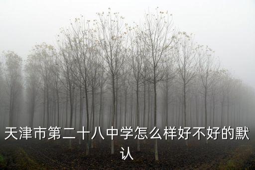 天津市第二十八中學怎么樣好不好的默認