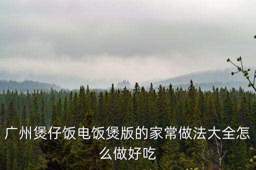 廣州煲仔飯電飯煲版的家常做法大全怎么做好吃