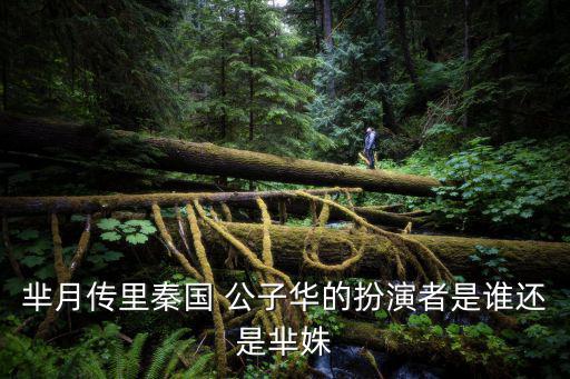 公子華,王瑞杰飾演魏延兒子魏延飾演公子華