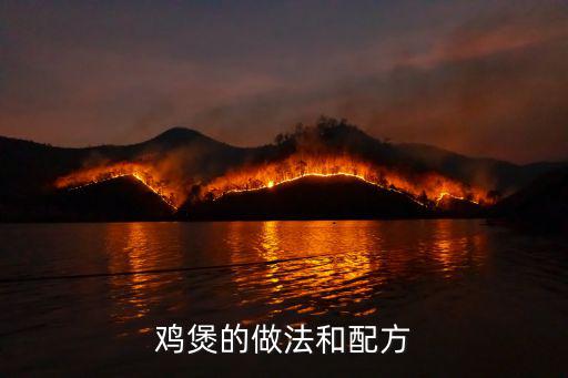 雞煲的做法和配方